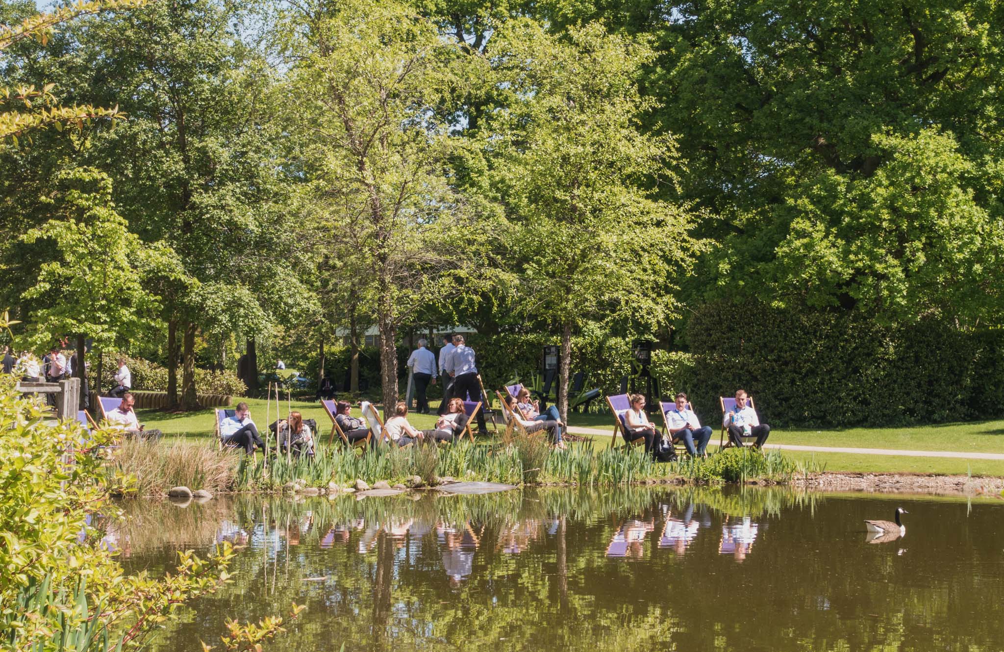 How nature boosts health & wellbeing at work - Workman Building ...