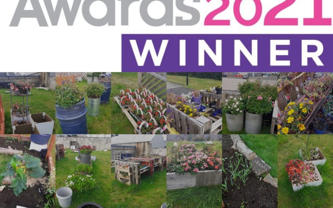Falkirk garden project wins Property Week Award