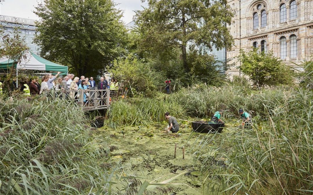 Ground-breaking moment for Urban Nature Project as works begin