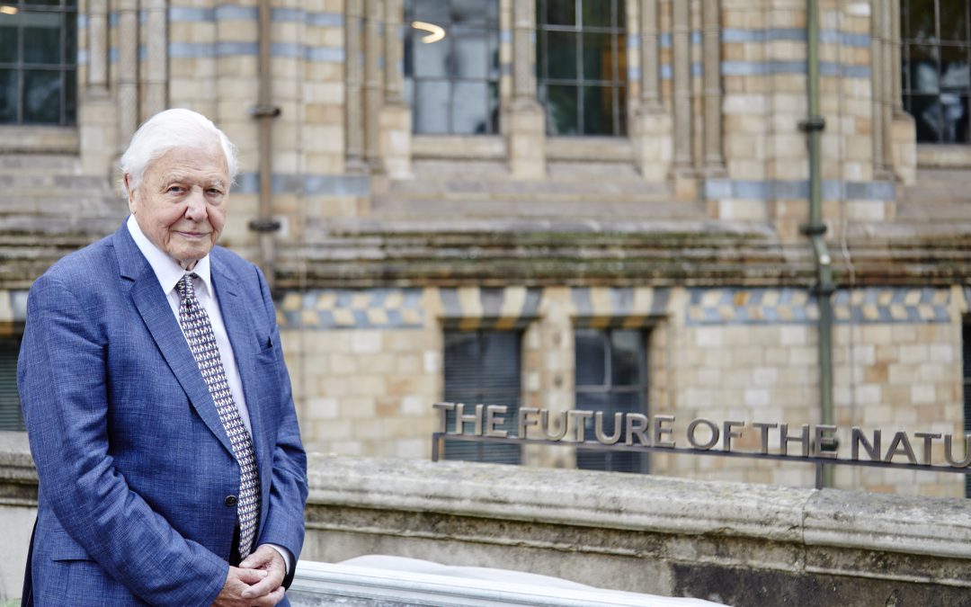 Sir David Attenborough unveils quote at Urban Nature Project