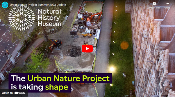 Timelapse video tracks  Urban Nature Project progress