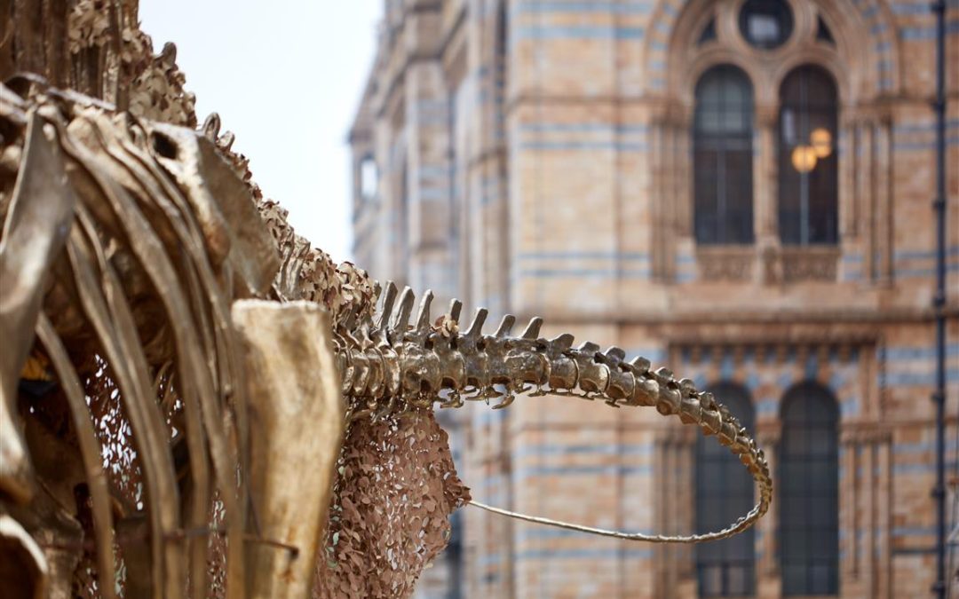 Natural History Museum: garden opening date revealed